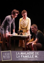 La Maladie de la famille M. Thtre le Ranelagh Affiche