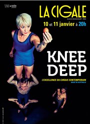 Knee Deep La Cigale Affiche