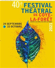 Je vole... et le reste je le dirai aux ombres | Festival Théâtral de Coye la Forêt Centre Culturel Coye la Fort Affiche