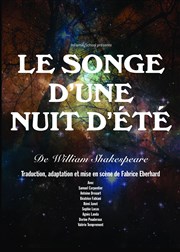 Songe d'une nuit d'été Thtre de Nesle - grande salle Affiche