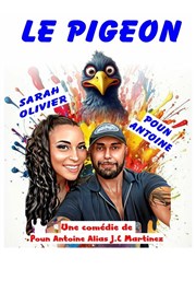 Le pigeon La Boite  Rire Affiche