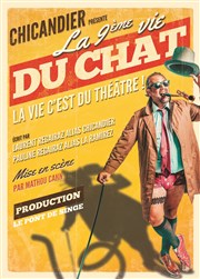 Chicandier dans La 9ème Vie du Chat Spotlight Affiche