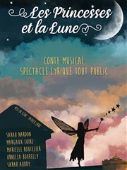 Les Princesses et la Lune Thtre Le Forum Affiche