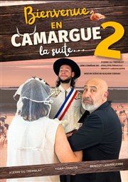 Bienvenue en Camargue 2 (la suite) L'Odeon Montpellier Affiche