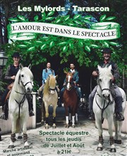 L'amour est dans le spectacle Domaine des Mylords Affiche