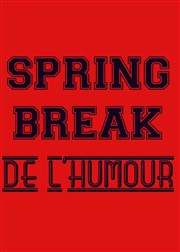 Le Spring Break de l'humour La Petite Loge Thtre Affiche