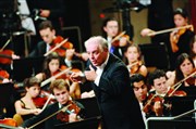 9ème Symphonie Barenboim Parc du Chteau de Versailles Affiche