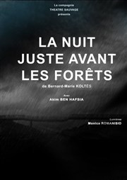 La Nuit juste avant les forêts Akton Thtre Affiche