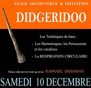 Stage Didgeridoo | Découverte et Initiation Feeling Musique Affiche