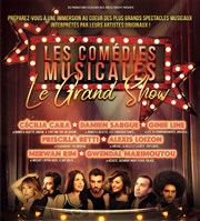 Les comédies musicales Thatre du Blanc mesnil Affiche