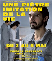 Une piètre imitation de la vie Thtre Berthelot Affiche