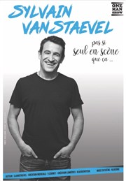 Sylvain Vanstaevel dans Seul en scène mais pas si seul que ça L'Imprimerie Affiche