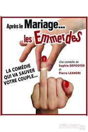 Après le mariage... les emmerdes ! Thtre Comdie de Lille Affiche