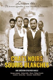 Chats noirs souris blanches Thtre Buffon Affiche