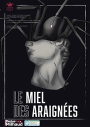 Le miel des araignées Thtre Darius Milhaud Affiche