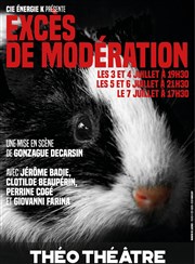 Excès de modération Tho Thtre - Salle Tho Affiche