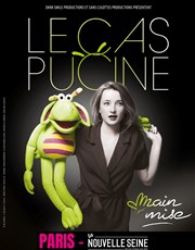 Le Cas Pucine dans Main Mise La Nouvelle Seine Affiche