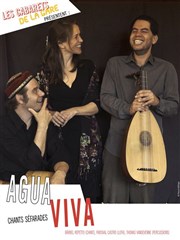 Agua viva | Les cabarets du jeudi Nouveau Gare au Thtre Affiche