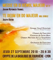 Concert Haydn et Hummel Crypte Fourvire Affiche