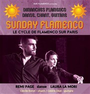 Sunday Flamenco Pniche Antipode Affiche