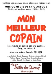 Mon meilleur copain Thtre des Oiseaux Affiche