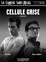 Cellule Grise La Comdie Saint Michel - petite salle Affiche