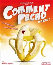 Comment pécho en 5 actes Le Citron Givr Affiche