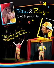 Titus et Zinzin font le pestacle Thtre des Prambules Affiche