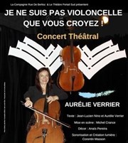 Je ne suis pas violoncelle que vous croyez Cathdrale Notre-Dame de Chartres Affiche