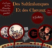 Des Saltimbanques et des Chevaux 3ème Edition Centre questre - curies des Pins Affiche