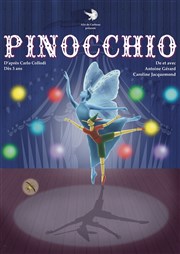 Pinocchio La comdie d'Amiens Affiche