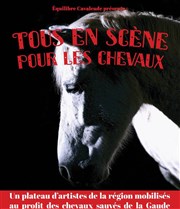 Tous en scène pour les chevaux La Coupole Affiche