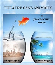 Théâtre sans animaux Coul'Thtre Affiche