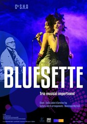 Bluesette Espace Magnan Affiche