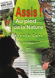 Assis ! ... Au pied de la Nature Thtre du Nord Ouest Affiche