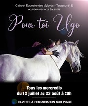 Pour toi Ugo Domaine des Mylords Affiche