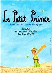 Le petit prince Thtre de l'Observance - salle 1 Affiche