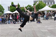 Stage d'Acrobatie et de Cirque Gymnase des Rosoirs Affiche