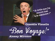 Bon voyage Thtre du Passage Affiche