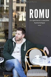 Romuald Maufras dans Romu La Cible Affiche