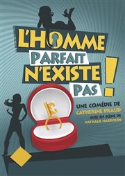 L'homme parfait n'existe pas Thtre  l'Ouest Affiche