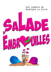 Salade d'embrouilles Comdie de Rennes Affiche