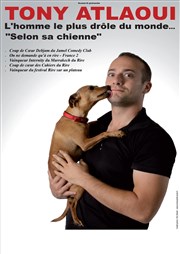 Tony Atlaoui dans L'homme le plus drôle du monde... Selon sa chienne Thtre de l'Observance - salle 2 Affiche