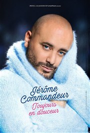 Jérôme Commandeur dans Tout en douceur Palais des Sports (Abeille des Aydes) Affiche