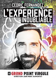 Cédric Fernandez dans L'expérience inoubliable Le Grand Point Virgule - Salle Apostrophe Affiche