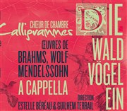 Concerts du Choeur de Chambre Calligrammes Eglise des Billettes Affiche