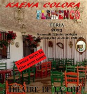 Kaena Colora : Flamenco Feria Thtre de la Cit Affiche