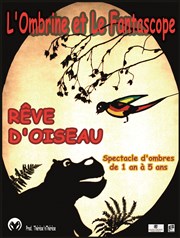 Rêve d'oiseau Thtre de la Plume Affiche