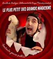 Le plus petit des grands magiciens Auditorium Landowski Affiche