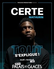 Certe Mathurin dans Tout s'explique ! Petit Palais des Glaces Affiche